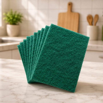 Scouring Pads 